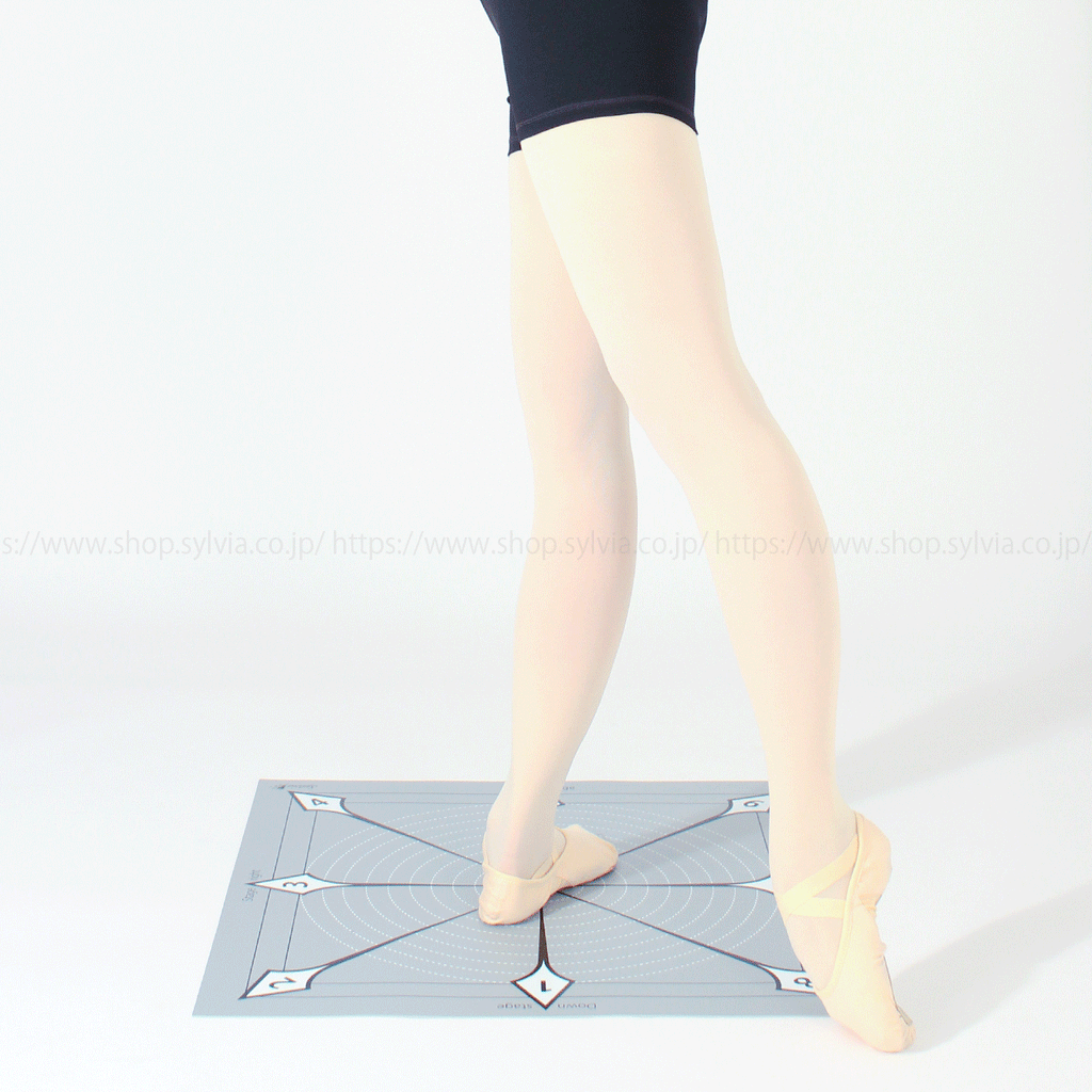 ESYD65010 Sylvia Ballet Position Mat – improvedance
