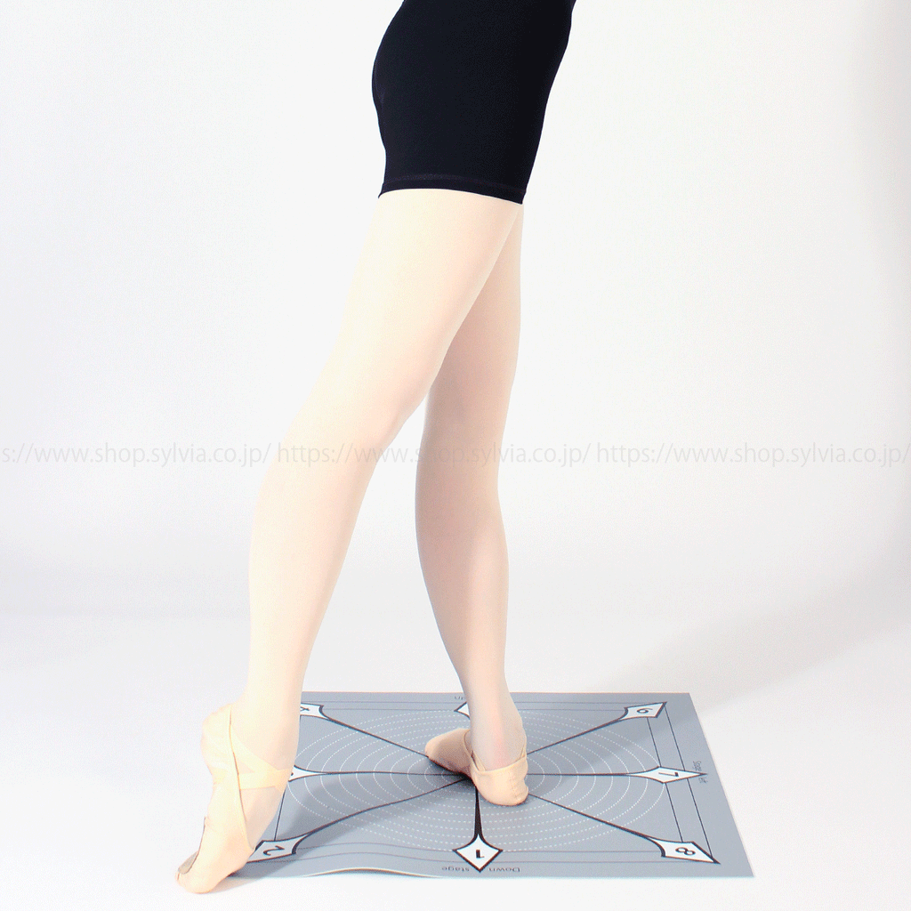ESYD65010 Sylvia Ballet Position Mat – improvedance